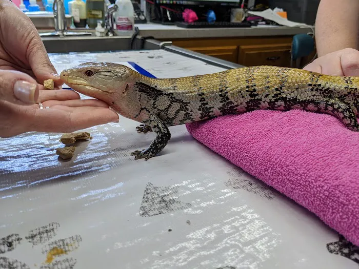 Indian River Animal Clinic 2