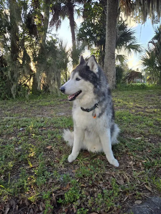 Indian River Animal Clinic 5