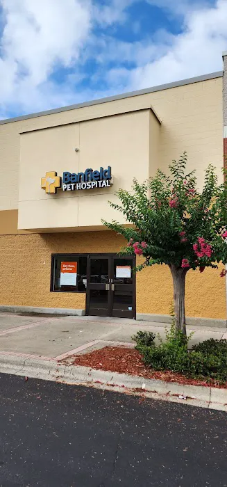 Banfield Pet Hospital 3
