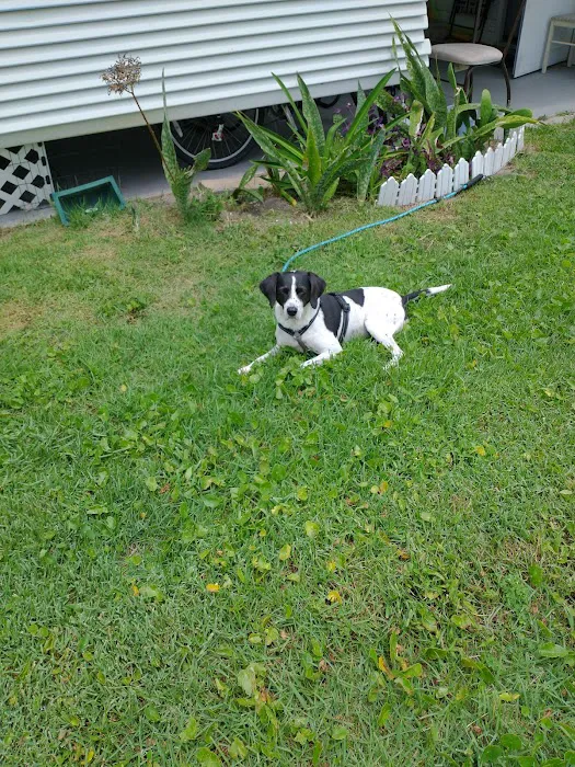 Banfield Pet Hospital 8