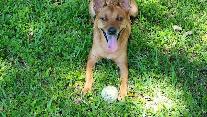 My Pets Wellness Veterinary Hospital - Daytona 7