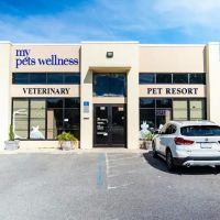 My Pets Wellness Veterinary Hospital - Daytona ico