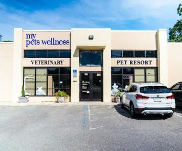 My Pets Wellness Veterinary Hospital - Daytona