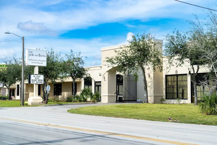 My Pets Wellness Veterinary Hospital - Daytona 10