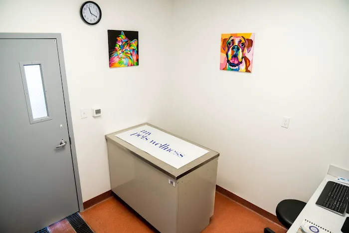 My Pets Wellness Veterinary Hospital - Daytona 3
