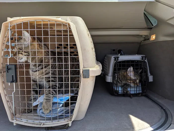 Halifax Humane Society, Inc. - Redinger Spay & Neuter Clinic 4