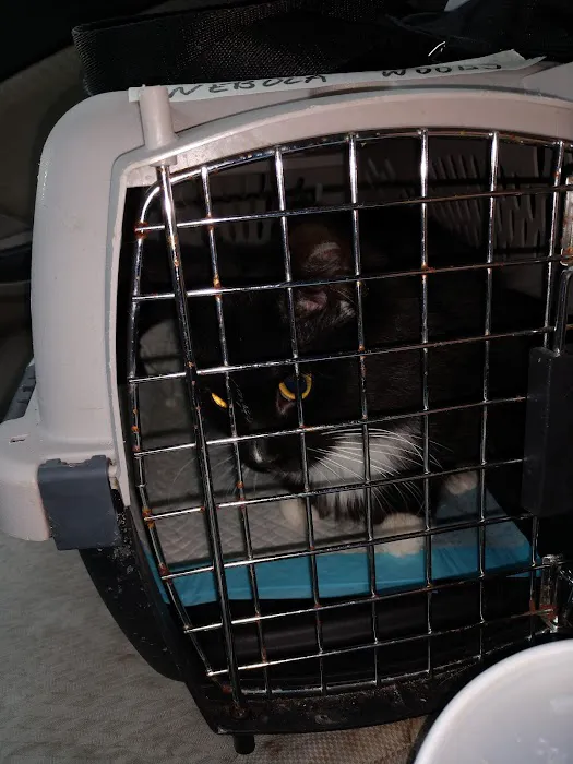 Halifax Humane Society, Inc. - Redinger Spay & Neuter Clinic 7