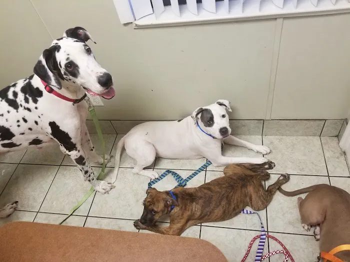 Cheney Animal Clinic 12