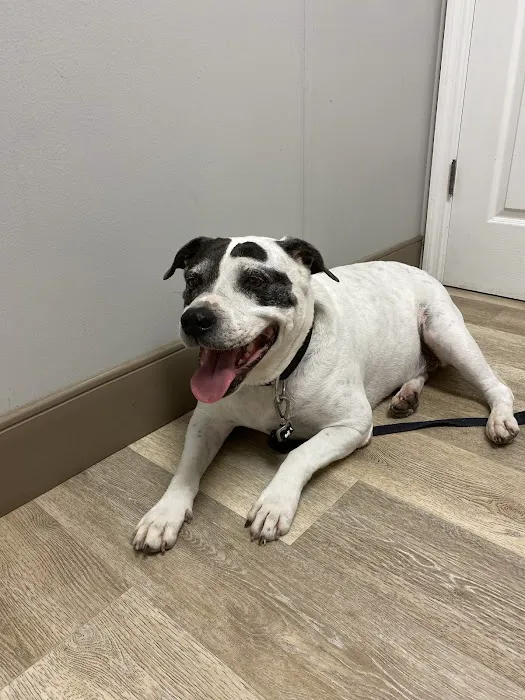 Cheney Animal Clinic 12