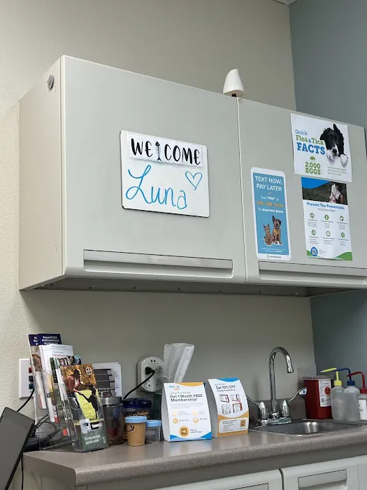 Young's Animal Hospital 12