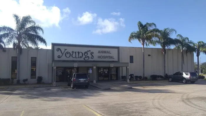 Young's Animal Hospital 12