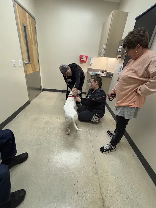 Vetco Total Care Animal Hospital 7