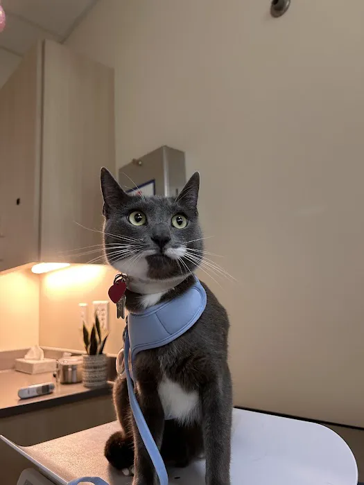 Vetco Total Care Animal Hospital 6
