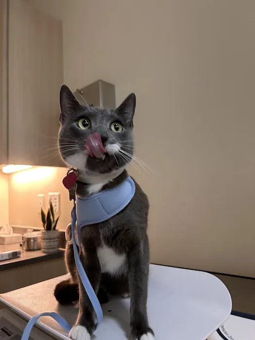 Vetco Total Care Animal Hospital 4
