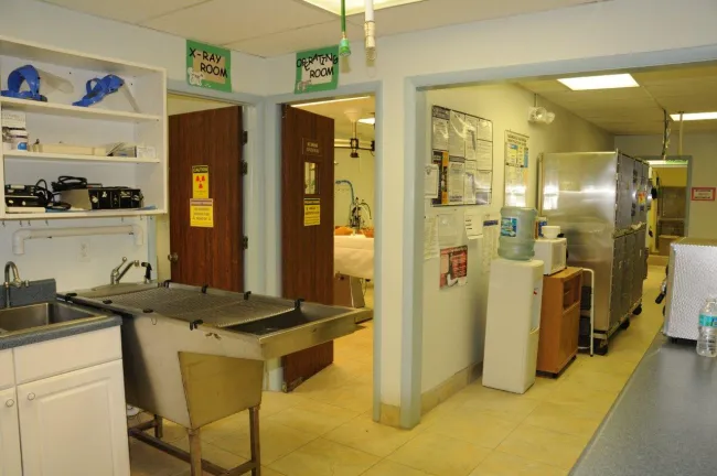 Sunrise Animal Hospital 10
