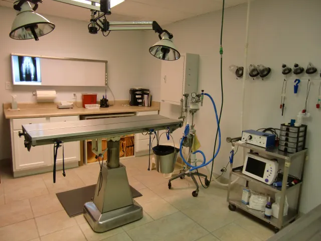 Sunrise Animal Hospital 3