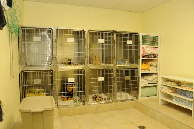 Sunrise Animal Hospital 5