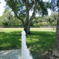 Sunrise Animal Hospital: Ely Marcia L DVM ico
