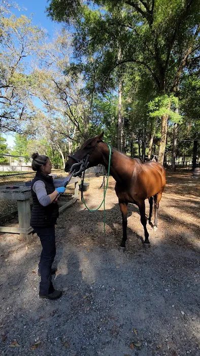 Blue Skies Equine Services Inc 4