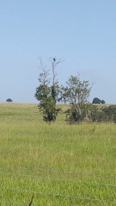 Blue Skies Equine Services Inc 9