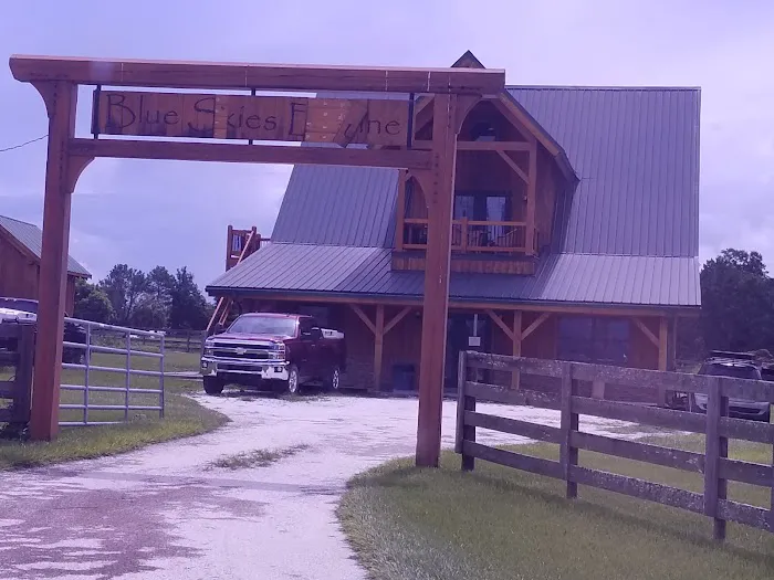 Blue Skies Equine Services Inc 7