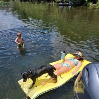 Animal Medical Center of Brooksville ico