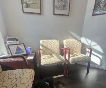 Veterinary Behavior Solutions