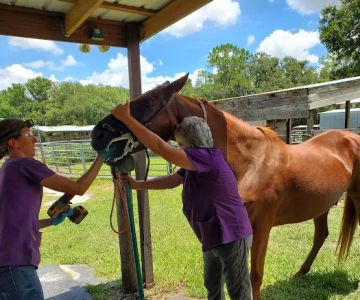 Polk Equine