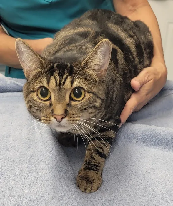 Fort Meade Animal Clinic 3