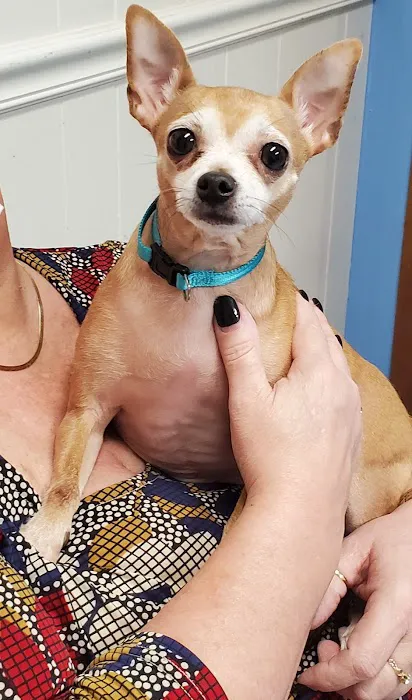 Fort Meade Animal Clinic 6