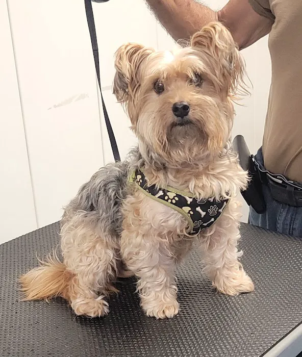 Fort Meade Animal Clinic 5