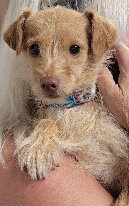 Fort Meade Animal Clinic 4