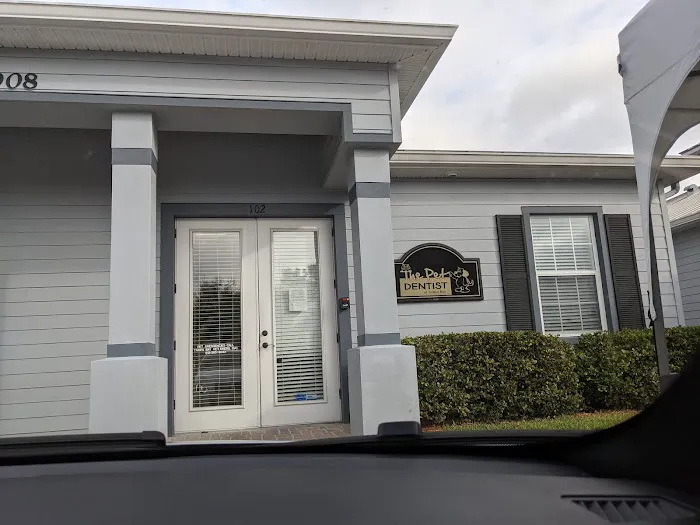 Pet Dentist At Tampa Bay 12