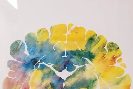 Levine Veterinary Neurology