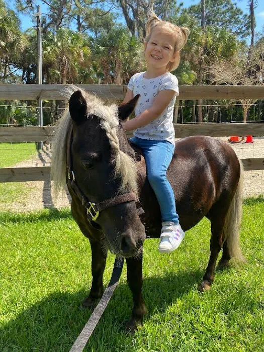 Sarasota Equine Veterinary Services 12