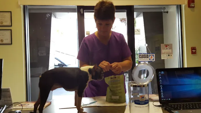 Animal Medical Clinic at Rosemary 12
