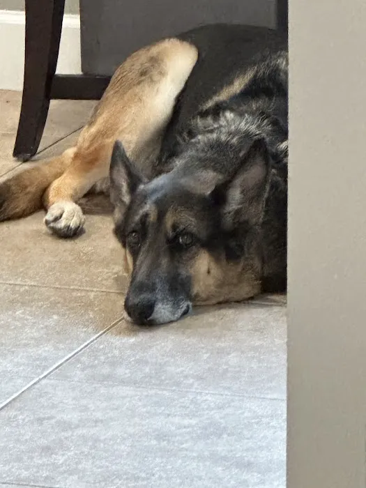 Bay Road Animal Hospital 12