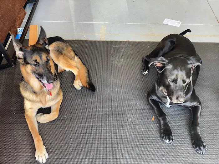 Bay Road Animal Hospital 12