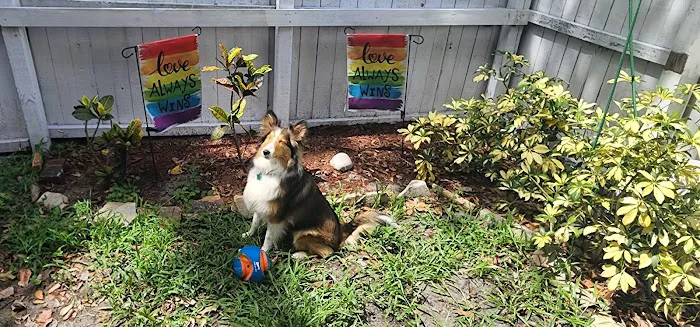 Sarasota Tamiami Animal Hospital 12