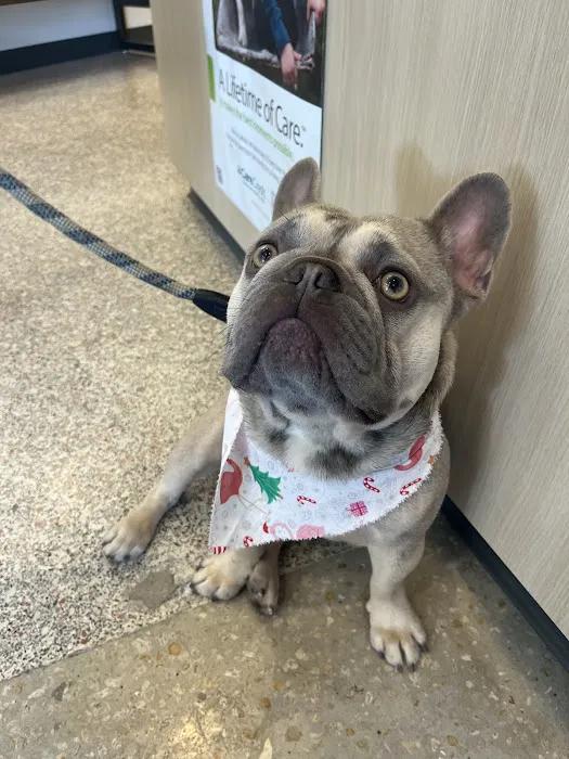 Sarasota Tamiami Animal Hospital 12