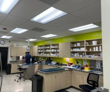 Sarasota Tamiami Animal Hospital