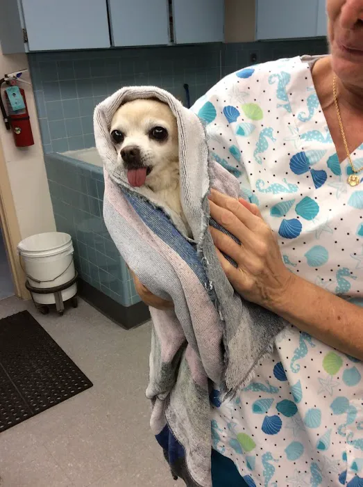 Animal Medical Clinic of Gulf Gate 8