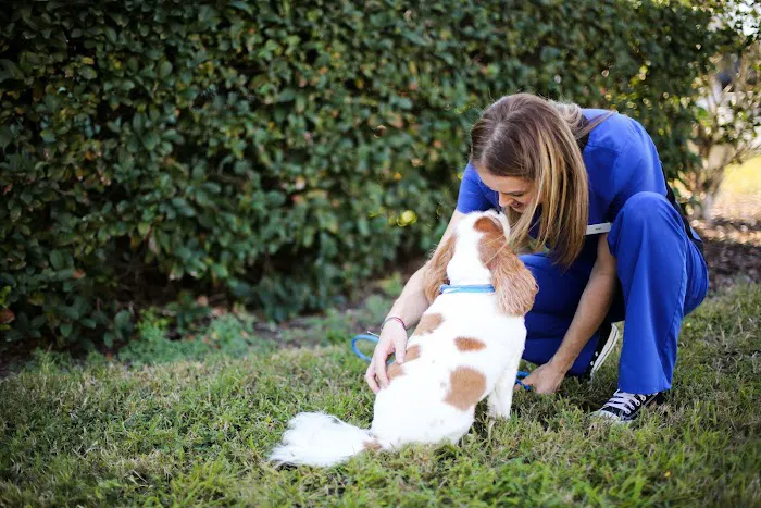 Animal Medical Clinic of Gulf Gate 7