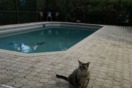 Southgate Animal Hospital