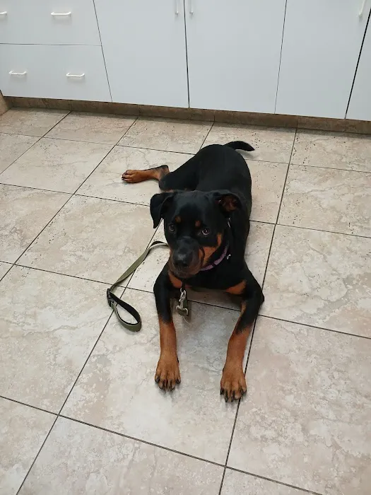 Southgate Animal Hospital 12