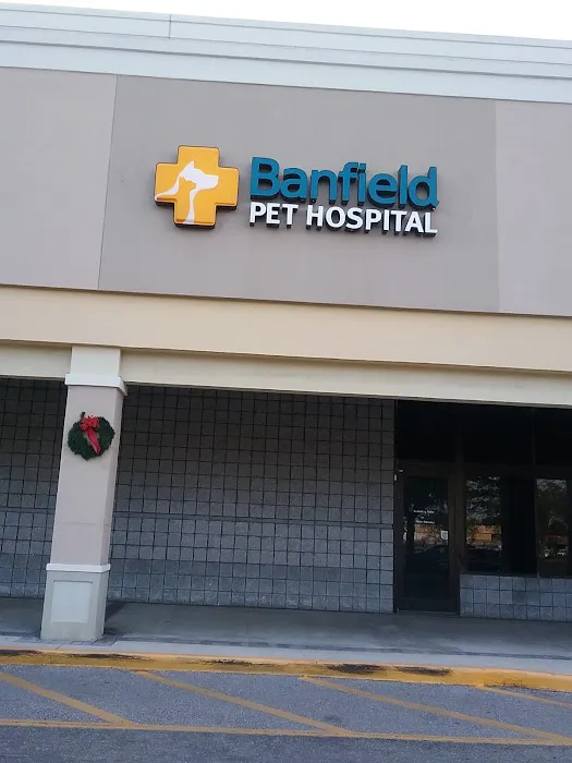 Banfield Pet Hospital 12