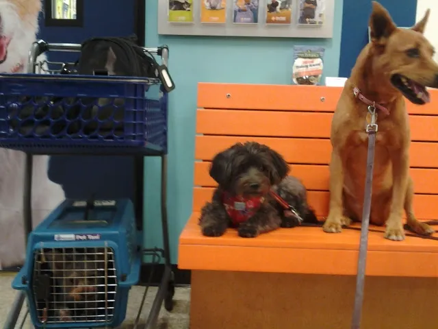 Banfield Pet Hospital 12