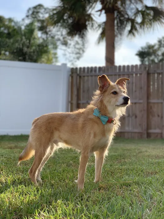 Banfield Pet Hospital 12