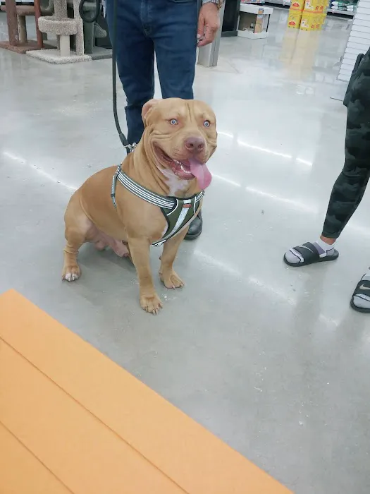 Banfield Pet Hospital 12