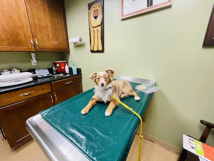 Gulf Gate Animal Hospital 12